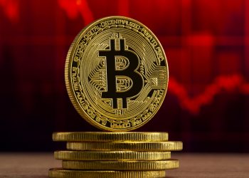 ViMoney: Shiba Inu, Dogecoin, Cardano sụt giảm khi Bitcoin giảm xuống còn 44 nghìn đô la