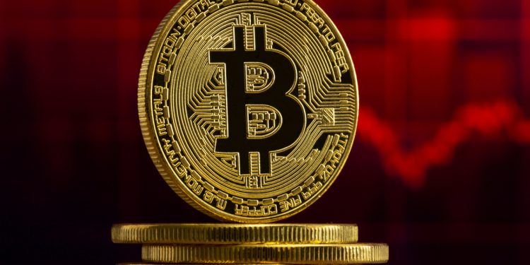 ViMoney: Shiba Inu, Dogecoin, Cardano sụt giảm khi Bitcoin giảm xuống còn 44 nghìn đô la