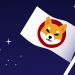 Shiba Inu giành quyền tiếp cận sớm với sự kiện đấu thầu đất đai vào cuối tuần này: Chi tiết