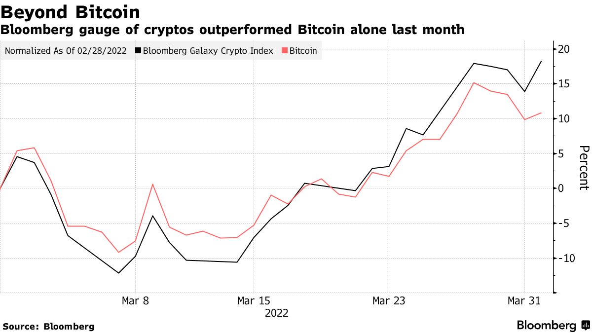 ViMoney: Solana (SOL) và Terra (LUNA) tăng giá mạnh nhất tuần trước sau cuộc biểu tình của Bitcoin