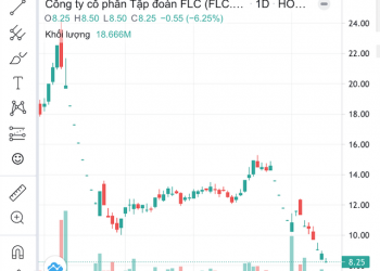 ViMoney: Hàng loạt cổ phiếu đầu cơ rớt mạnh khi sóng đầu cơ đi qua