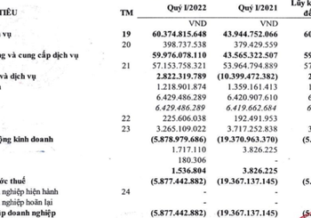Suất ăn hàng không Nội Bài (NCS) có quý thứ 8 liên tiếp kinh doanh thua lỗ, nâng lỗ lũy kế lên gần 110 tỷ đồng - Ảnh 1.