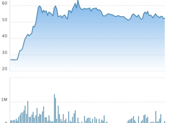 Tập đoàn Nam Mê Kông (VC3) triển khai chào bán 33 triệu cổ phiếu, muốn tăng VĐL thêm 50% - Ảnh 1.