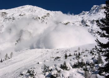 ViMoney: Terra mua mã thông báo AVAX trị giá 100 triệu đô la để lấy lại stablecoin h2