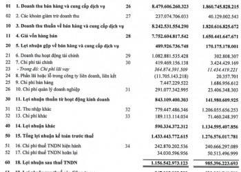 ThaiHoldings (THD) đặt mục tiêu lợi nhuận trước thuế năm 2022 tăng 5% lên 1.503 tỷ đồng - Ảnh 1.