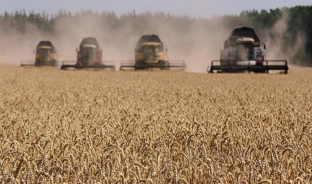 Thế giới phải tìm cách ngăn chặn một cuộc khủng hoảng lương thực