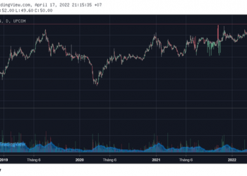 ViMoney: Thị trường ô tô Việt Nam qua "cơn bĩ cực", "đại gia ngành" VEA ngược dòng lập đỉnh mới