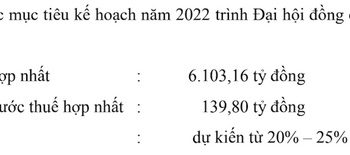 Thiên Nam Group (TNA) đặt kế hoạch lãi năm 2022 gấp 5,4 lần - Ảnh 1.