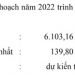 Thiên Nam Group (TNA) đặt kế hoạch lãi năm 2022 gấp 5,4 lần - Ảnh 1.