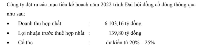 Thiên Nam Group (TNA) đặt kế hoạch lãi năm 2022 gấp 5,4 lần - Ảnh 1.
