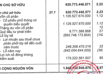 Thuduc House (TDH) bị dừng làm thủ tục hải quan với hàng xuất khẩu nhập khẩu - Ảnh 1.