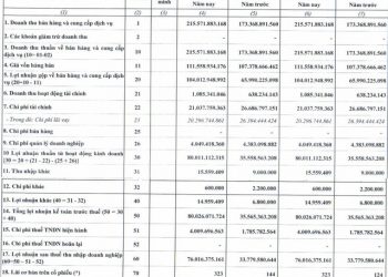 Thủy điện Hủa Na (HNA) báo lãi quý 1/2022 tăng gấp hơn 2 lần cùng kỳ, đạt 90% mục tiêu lợi nhuận cả năm - Ảnh 1.