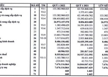 Thủy sản Bến Tre (ABT) báo lãi sau thuế quý 1/2022 giảm 54% - Ảnh 1.