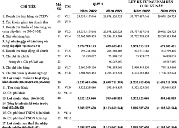 Thuỷ sản Mê Kong (AAM) thành công chuyển lỗ sang có lãi trong quý 1/2022 - Ảnh 1.