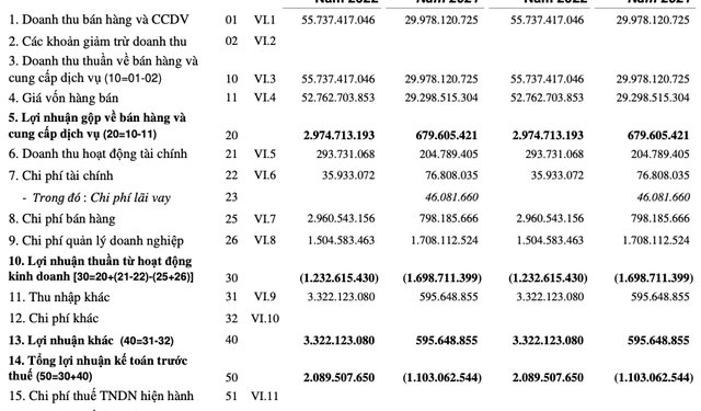 Thuỷ sản Mê Kong (AAM) thành công chuyển lỗ sang có lãi trong quý 1/2022 - Ảnh 1.