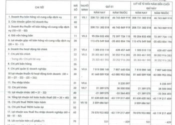 Thuỷ văn thuận lợi, Thuỷ điện miền Trung (CHP) báo lãi lớn trong quý 1 - Ảnh 1.