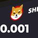 ViMoney: David Gokhshtein: "Tôi có thể thấy Shiba Inu chạm 0,001 USD" h1