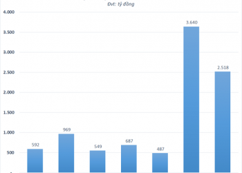 Tổng Công ty Hàng Hải Việt Nam (MVN) sẽ chào bán riêng lẻ tăng vốn thêm 1.000 tỷ đồng đầu tư đội tàu container - Ảnh 1.