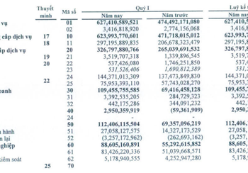 Traphaco báo lãi quý 1 tăng trưởng 63% so với cùng kỳ 2021 - Ảnh 1.
