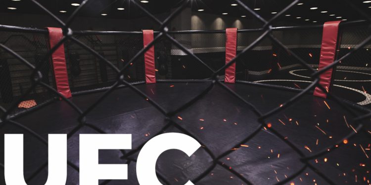 UFC thanh toán cho các võ sĩ bằng tiền điện tử