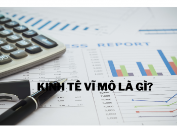 Kinh tế vĩ mô là gì? Phân biệt với kinh tế học vi mô