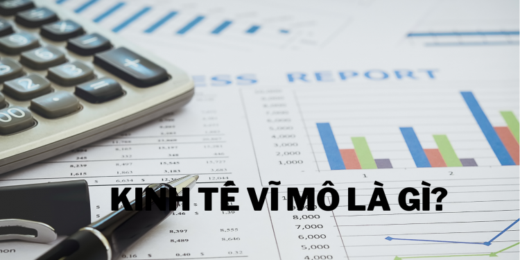 Kinh tế vĩ mô là gì? Phân biệt với kinh tế học vi mô