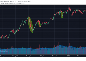 VN-Index có thói quen hồi nhanh sau cú rơi chóng vánh, cơ hội bắt đáy cổ phiếu chất lượng giá mềm? - Ảnh 1.