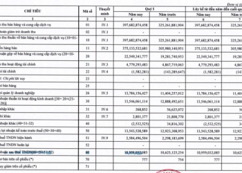 VOSA Corporation (VSA) hoàn thành 28,5% lãi sau thuế sau quý 1/2022 - Ảnh 1.