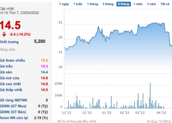 Về tay doanh nghiệp Hà Lan, Nhựa Ngọc Nghĩa (NNG) báo lãi quý 1 gấp đôi cùng kỳ - Ảnh 1.