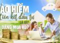 Bảo hiểm liên kết đầu tư là gì? So sánh Bảo hiểm liên kết đầu tư và Bảo hiểm nhân thọ truyền thống 2022