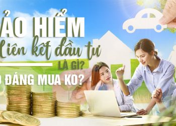Bảo hiểm liên kết đầu tư là gì? So sánh Bảo hiểm liên kết đầu tư và Bảo hiểm nhân thọ truyền thống 2022