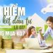 Bảo hiểm liên kết đầu tư là gì? So sánh Bảo hiểm liên kết đầu tư và Bảo hiểm nhân thọ truyền thống 2022