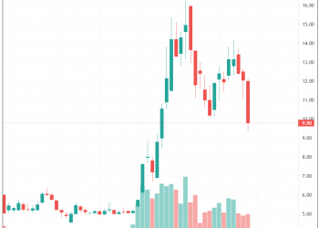ViMoney: Danh sách nhà đầu tư rót 1.700 tỷ đồng vào Hoàng Anh Gia Lai (HAG) có sự thay đổi lớn, Glory Land giảm mạnh lượng cổ phiếu sẽ mua