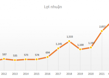 ViMoney: GEX đặt kế hoạch doanh thu 36.000 tỷ năm 2022, niêm yết Gelex Hạ tầng và đầu tư 1.900 ha khu công nghiệp mới h1