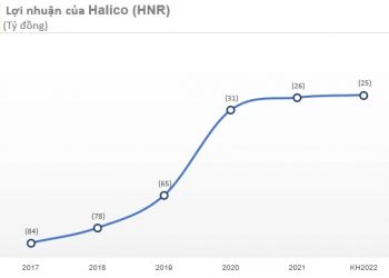 ViMoney: "Huyền thoại'' Vodka Hà Nội Halico (HNR) đặt kế hoạch lỗ 25 tỷ năm 2022