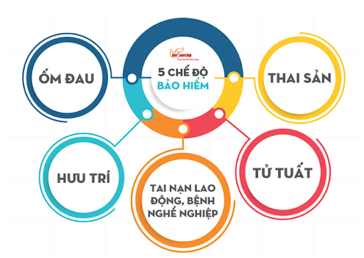 Cách phân loại Bảo hiểm 2022