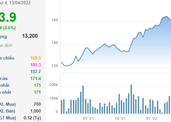 ViMoney: Saigon Cargo Service (SCS) tăng vốn lên nghìn tỷ, chia cổ phiếu thưởng 85%
