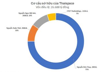 ViMoney: Rót tỷ đô cho dự án vũ trụ ThaiSpace, Bầu Thụy muốn chi tiếp hơn 8.000 tỷ mua thêm cổ phiếu Thaiholdings