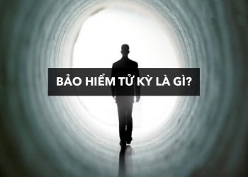 Bảo hiểm tử kỳ là gì? Phân loại bảo hiểm tử kỳ 2022