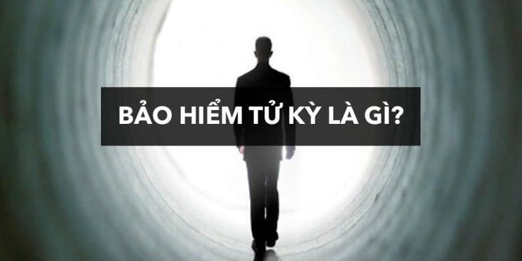 Bảo hiểm tử kỳ là gì? Phân loại bảo hiểm tử kỳ 2022