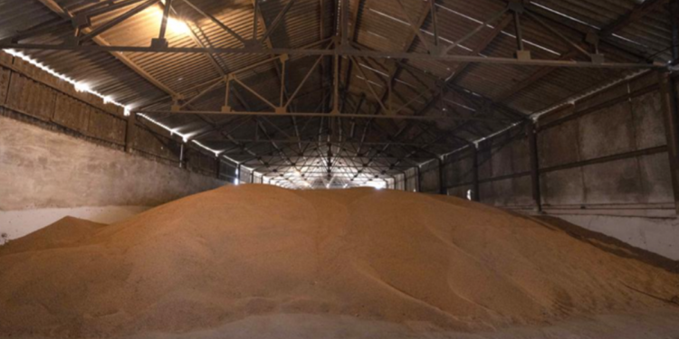 An ninh lương thực toàn cầu: Thế giới có thể sẽ “đói” hơn