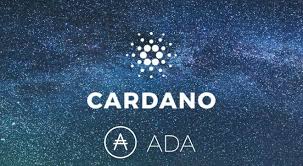 400 dự án và 100.000 ví tiền điện tử mới được tạo trên Cardano chỉ trong vòng 1 tháng