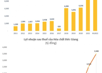 Hoá chất Đức Giang (DGC) thông qua phương án phát hành 200 triệu cổ phiếu trả cổ tức tỷ lệ 117%