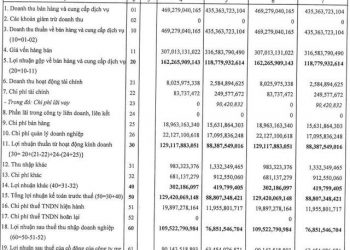 Viconship (VSC) báo lãi quý 1 tăng trưởng 43% so với cùng kỳ lên 110 tỷ đồng - Ảnh 1.