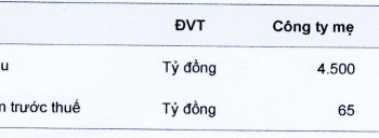 Ống thép Việt Đức VGPIPE (VGS) đặt kế hoạch lợi nhuận sụt giảm trong năm 2022 - Ảnh 1.