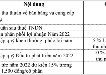 Việt Phát Group (VPG) đặt tham vọng doanh thu tăng 120% nhưng kế hoạch lợi nhuận đi lùi trong năm 2022 - Ảnh 1.