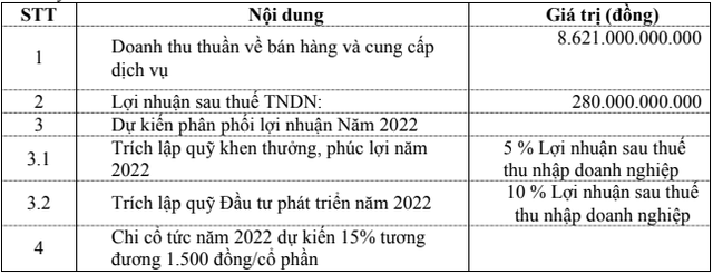 Việt Phát Group (VPG) đặt tham vọng doanh thu tăng 120% nhưng kế hoạch lợi nhuận đi lùi trong năm 2022 - Ảnh 1.