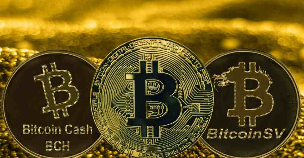 Bitcoin SV là gì