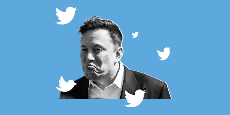 Cuộc phiêu lưu mới nhất trên Twitter của Elon Musk sẽ thổi phồng cơn sốt cổ phiếu meme?