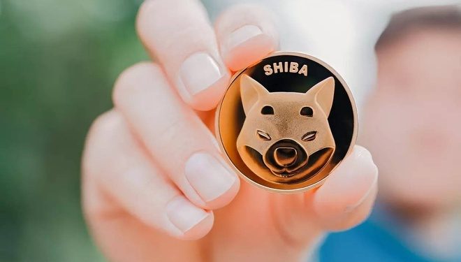 Dự đoán giá Shiba Inu: Liệu SHIB sẽ đạt 0.0002 năm 2022?